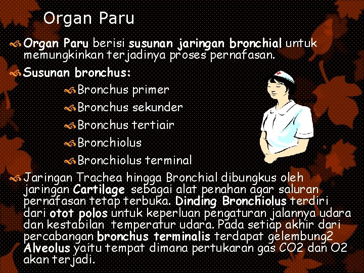 Organ Paru berisi susunan jaringan bronchial untuk memungkinkan terjadinya proses pernafasan. Susunan bronchus: Bronchus