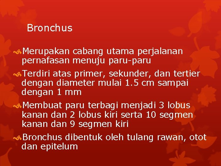 Bronchus Merupakan cabang utama perjalanan pernafasan menuju paru-paru Terdiri atas primer, sekunder, dan tertier