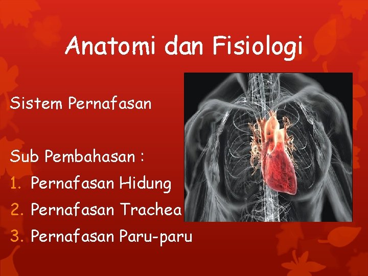 Anatomi dan Fisiologi Sistem Pernafasan Sub Pembahasan : 1. Pernafasan Hidung 2. Pernafasan Trachea