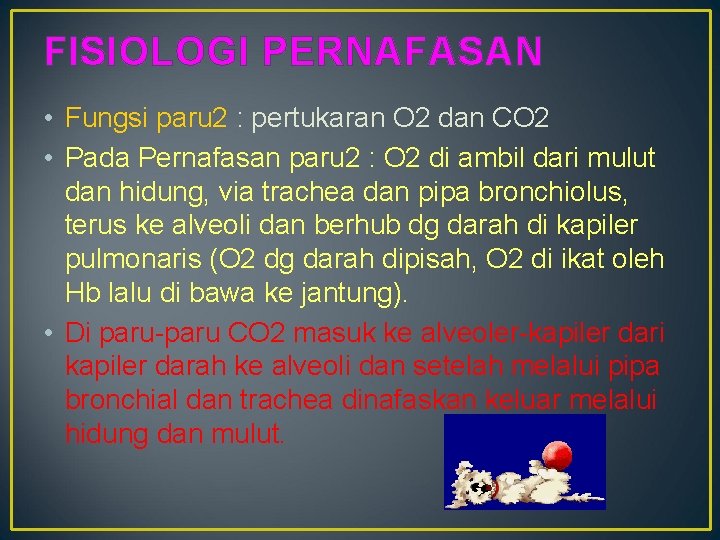 FISIOLOGI PERNAFASAN • Fungsi paru 2 : pertukaran O 2 dan CO 2 •