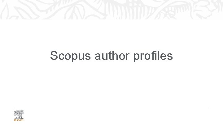Scopus author profiles 