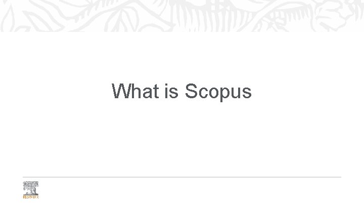 What is Scopus 