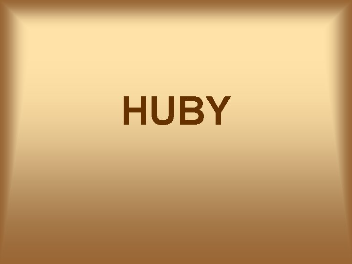 HUBY 