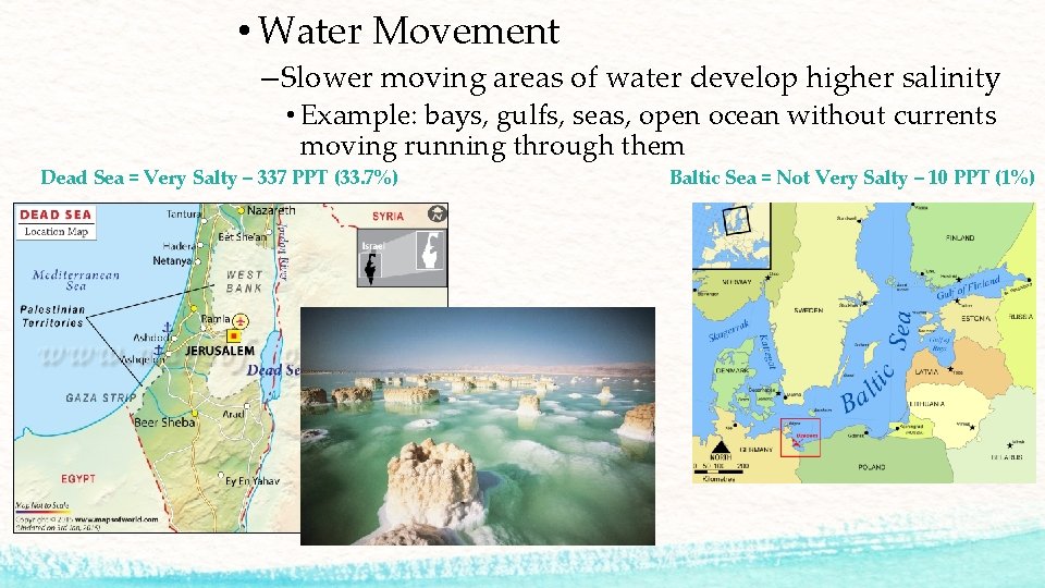  • Water Movement – Slower moving areas of water develop higher salinity •