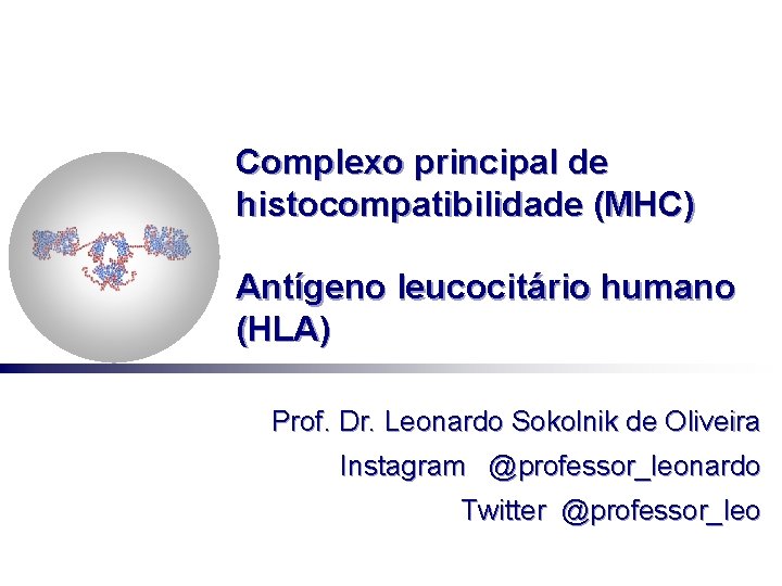 Complexo principal de histocompatibilidade (MHC) Antígeno leucocitário humano (HLA) Prof. Dr. Leonardo Sokolnik de