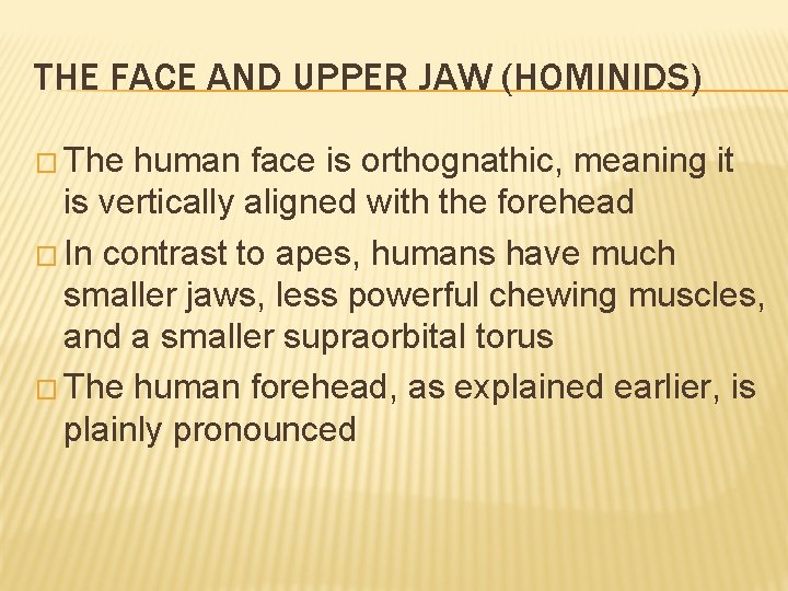 THE FACE AND UPPER JAW (HOMINIDS) � The human face is orthognathic, meaning it THE FACE AND UPPER JAW (HOMINIDS) � The human face is orthognathic, meaning it