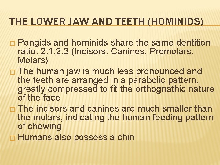 THE LOWER JAW AND TEETH (HOMINIDS) � Pongids and hominids share the same dentition THE LOWER JAW AND TEETH (HOMINIDS) � Pongids and hominids share the same dentition