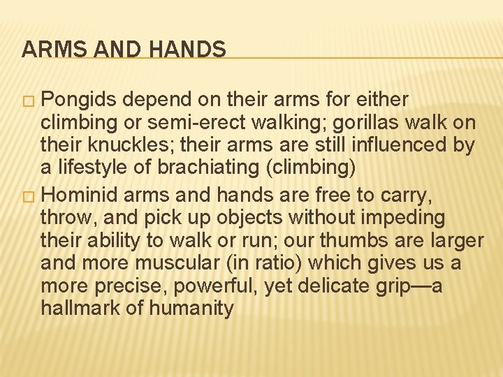 ARMS AND HANDS � Pongids depend on their arms for either climbing or semi-erect ARMS AND HANDS � Pongids depend on their arms for either climbing or semi-erect