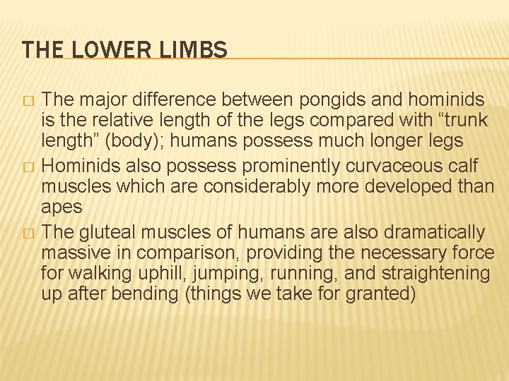 THE LOWER LIMBS The major difference between pongids and hominids is the relative length THE LOWER LIMBS The major difference between pongids and hominids is the relative length