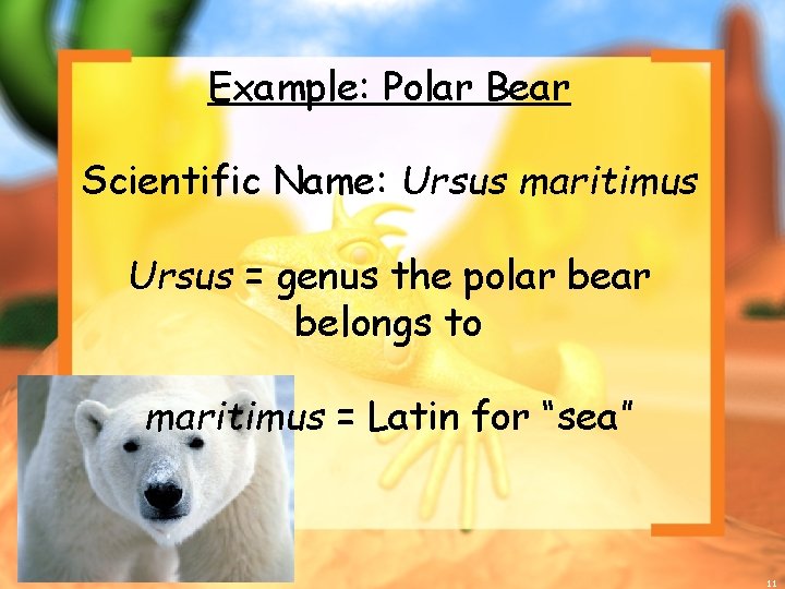 Example: Polar Bear Scientific Name: Ursus maritimus Ursus = genus the polar belongs to