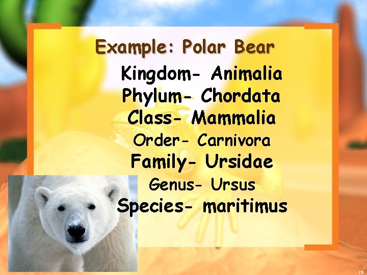 Example: Polar Bear Kingdom- Animalia Phylum- Chordata Class- Mammalia Order- Carnivora Family- Ursidae Genus-