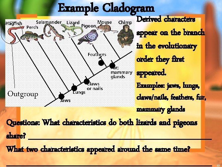 Example Cladogram Derived characters appear on the branch in the evolutionary order they first