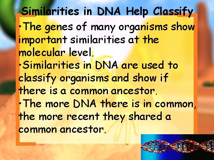 Similarities in DNA Help Classify • The genes of many organisms show important similarities