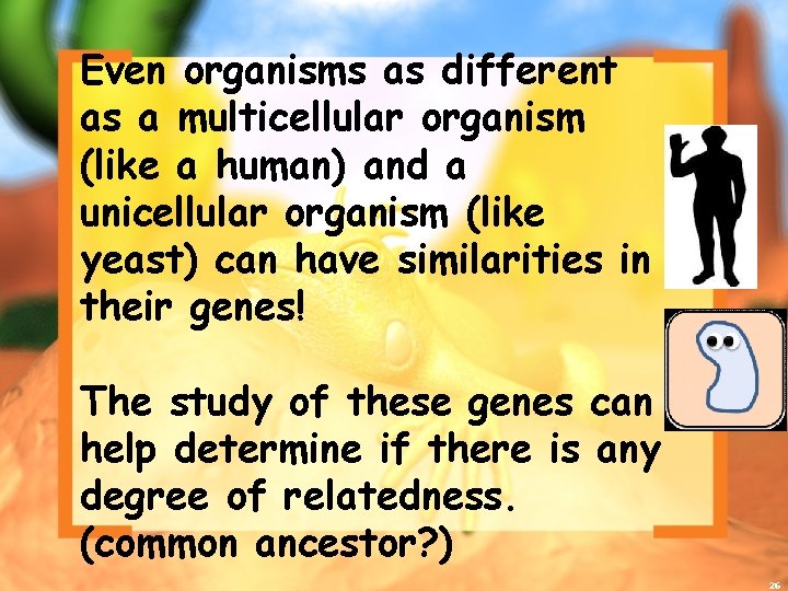 Even organisms as different as a multicellular organism (like a human) and a unicellular