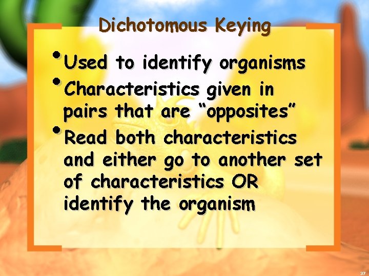 Dichotomous Keying • Used to identify organisms • Characteristics given in pairs that are
