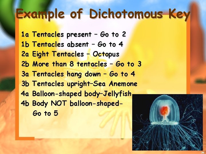 Example of Dichotomous Key 1 a 1 b 2 a 2 b 3 a