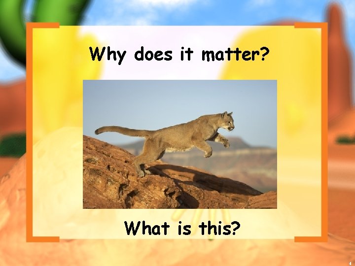 Why does it matter? What is this? 4 