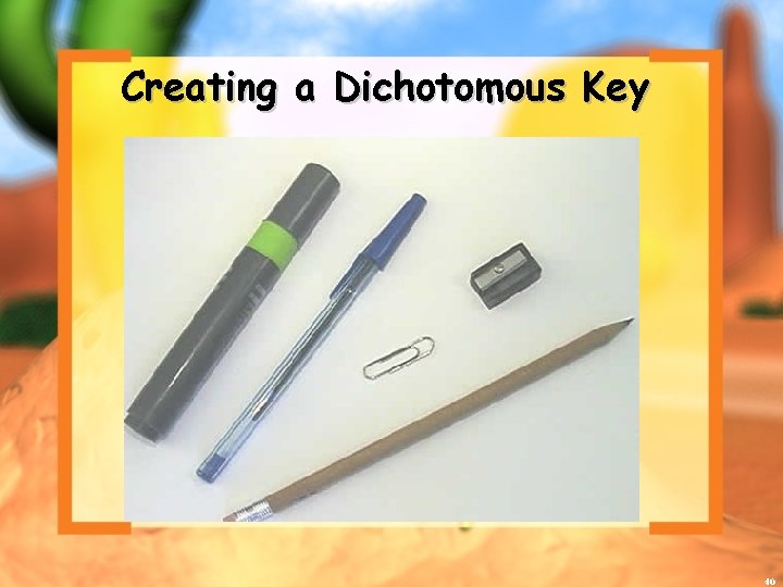 Creating a Dichotomous Key 40 