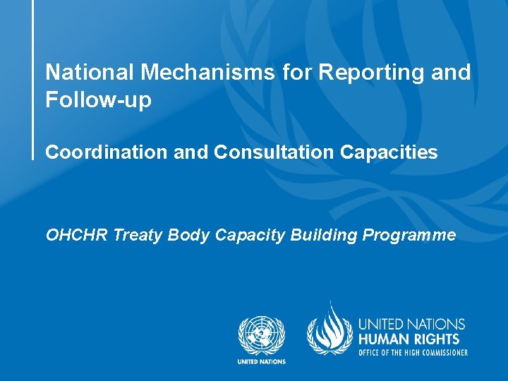 National Mechanisms for Reporting and Follow-up Coordination and Consultation Capacities OHCHR Treaty Body Capacity
