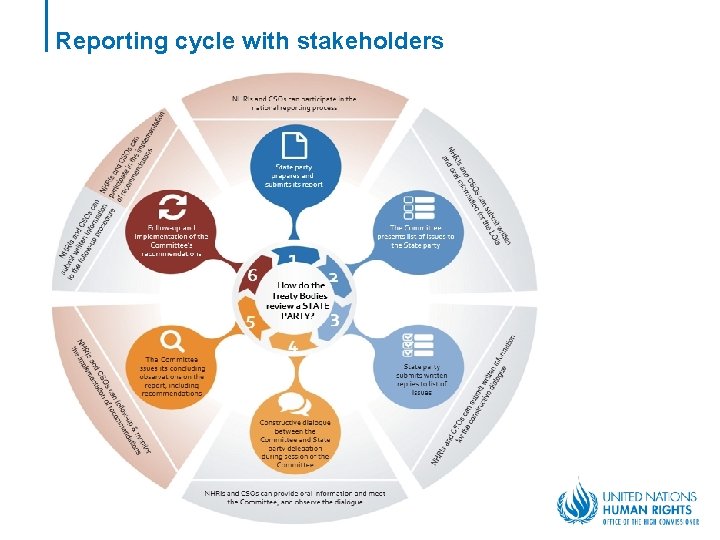 Reporting cycle with stakeholders 