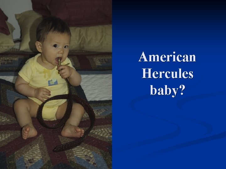 American Hercules baby? 