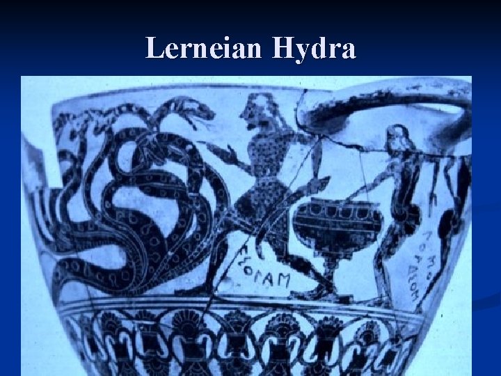 Lerneian Hydra 