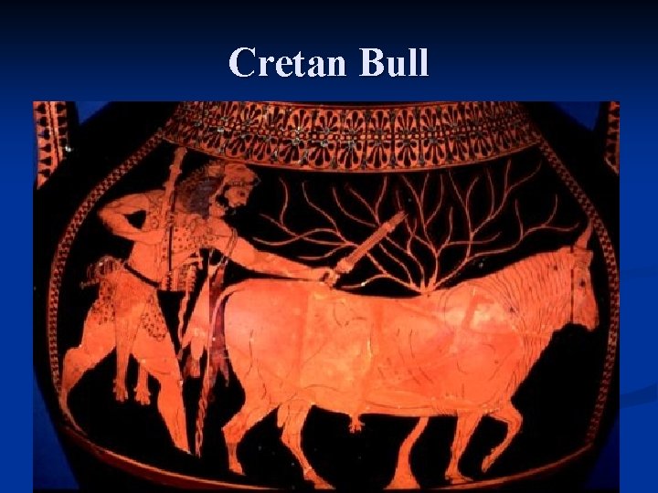 Cretan Bull 
