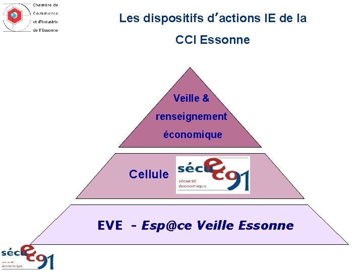 Les dispositifs d’actions IE de la CCI Essonne Veille & renseignement économique Cellule EVE