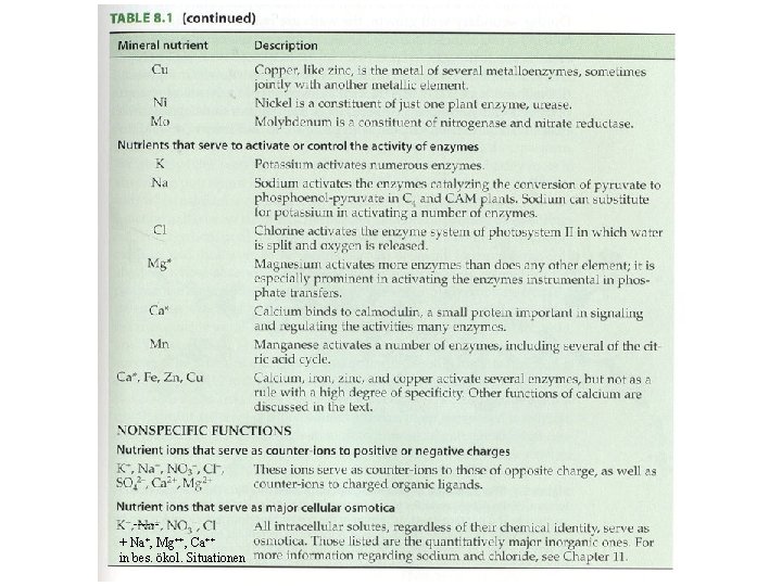 -----+ Na+, Mg++, Ca++ in bes. ökol. Situationen 