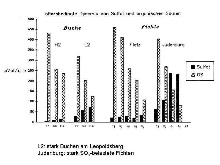 L 2: stark Buchen am Leopoldsberg Judenburg: stark SO 2 -belastete Fichten 