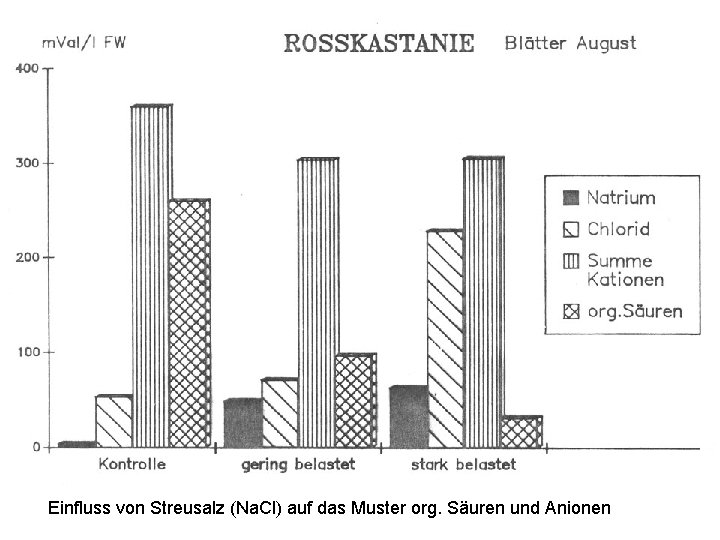 Einfluss von Streusalz (Na. Cl) auf das Muster org. Säuren und Anionen 