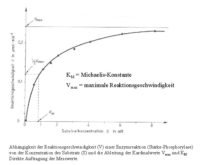 KM = Michaelis-Konstante Vmax = maximale Reaktionsgeschwindigkeit Abhängigkeit der Reaktionsgeschwindigkeit (V) einer Enzymreaktion (Stärke-Phosphorylase)