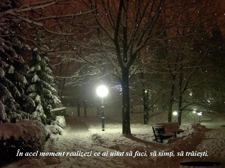 În acel moment realizezi ce ai uitat sã faci, sã simţi, sã trãieşti. În acel moment realizezi ce ai uitat sã faci, sã simţi, sã trãieşti.