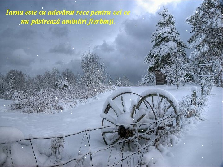 Iarna este cu adevărat rece pentru cei ce nu păstrează amintiri fierbinţi. Iarna este cu adevărat rece pentru cei ce nu păstrează amintiri fierbinţi.
