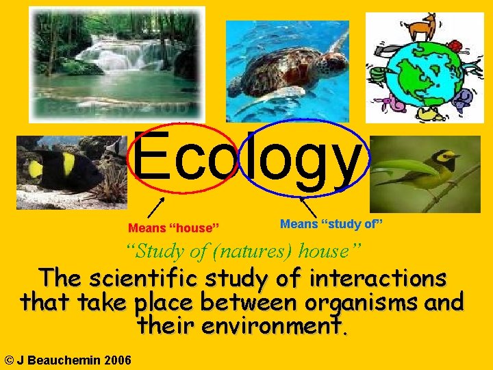 Ecology Means “house” Means “study of” “Study of (natures) house” The scientific study of