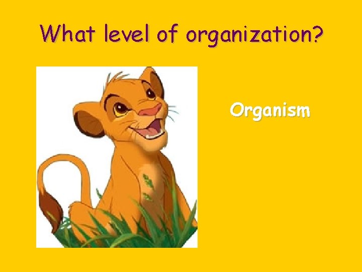 What level of organization? Organism 