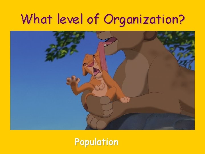 What level of Organization? Population 