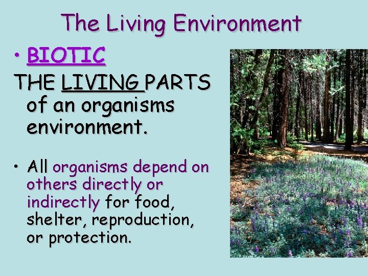 The Living Environment • BIOTIC THE LIVING PARTS of an organisms environment. • All