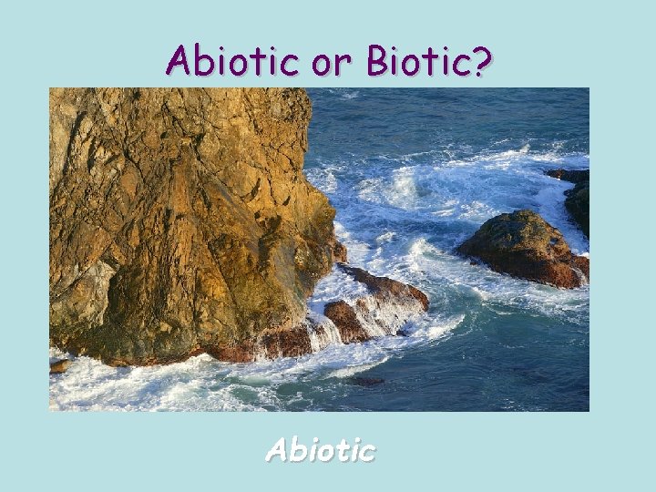 Abiotic or Biotic? Abiotic 