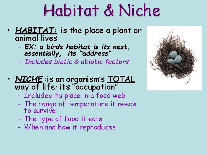 Habitat & Niche • HABITAT: is the place a plant or animal lives –