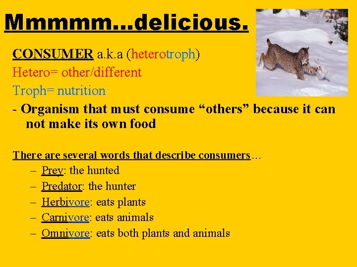 Mmmmm…delicious. CONSUMER a. k. a (heterotroph) Hetero= other/different Troph= nutrition - Organism that must