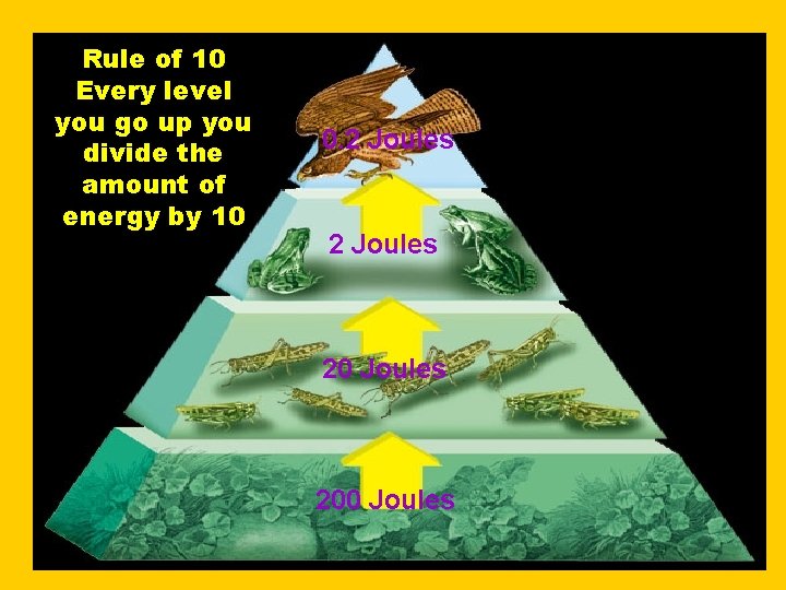 Rule of 10 Every level you go up you divide the amount of energy