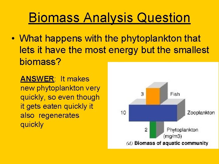 Biomass Analysis Question • What happens with the phytoplankton that lets it have the