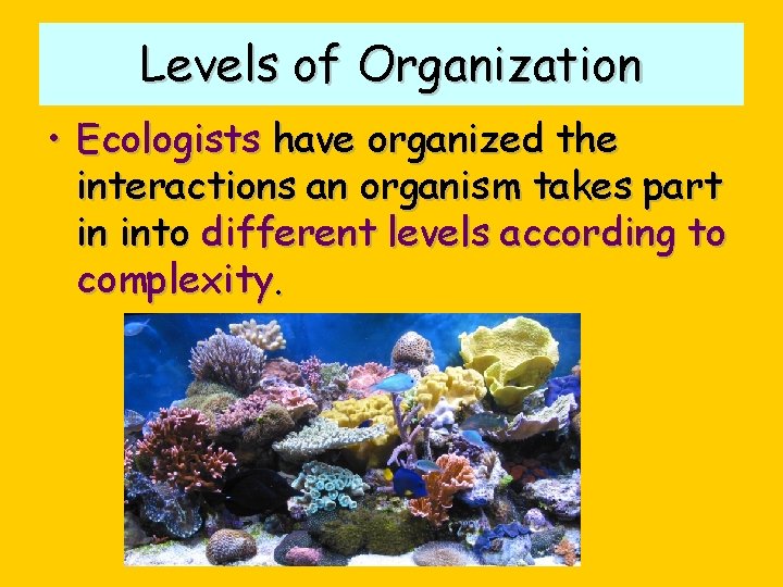 Levels of Organization • Ecologists have organized the interactions an organism takes part in
