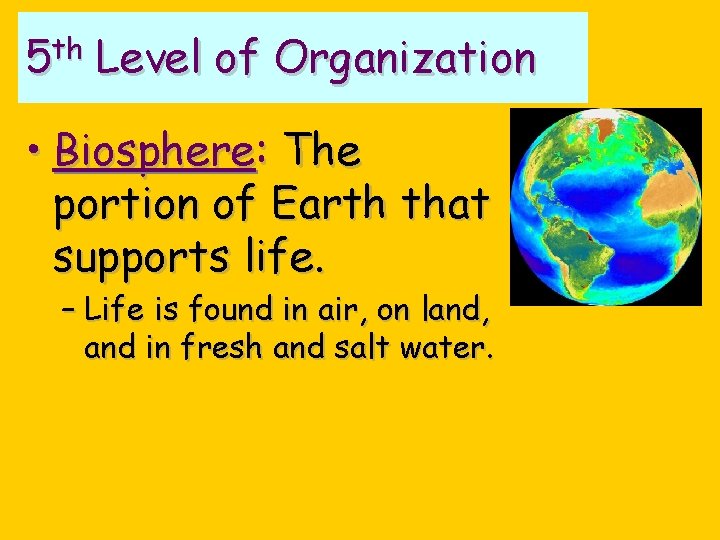 th 5 Level of Organization • Biosphere: The portion of Earth that supports life.
