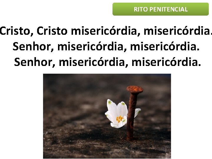 RITO PENITENCIAL Cristo, Cristo misericórdia, misericórdia. Senhor, misericórdia, misericórdia. 