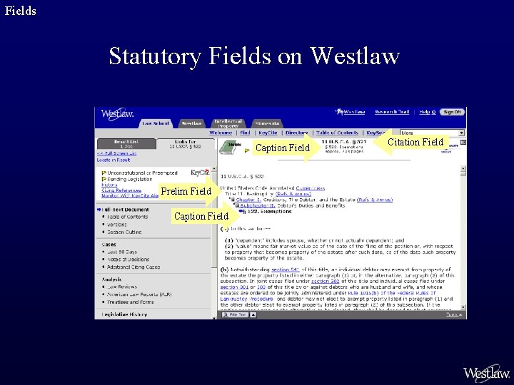 Fields Statutory Fields on Westlaw Caption Field Prelim Field Caption Field Citation Field 