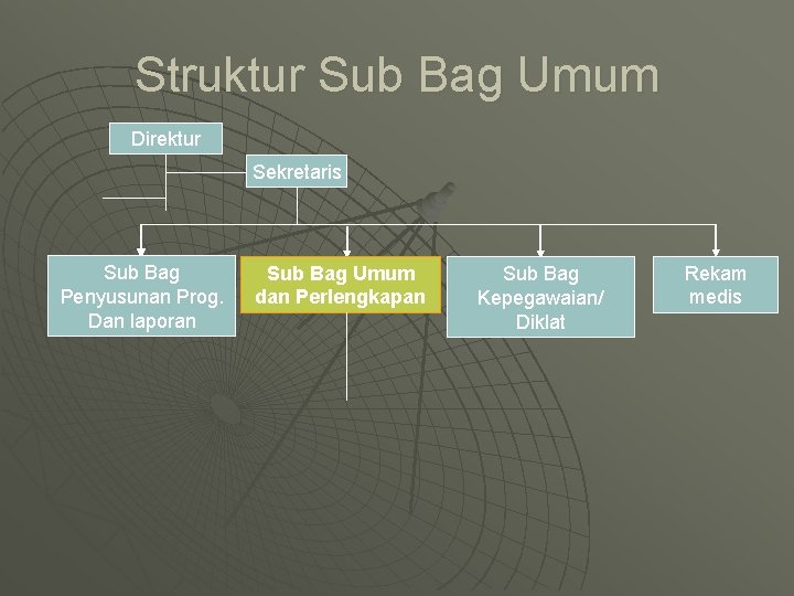Struktur Sub Bag Umum Direktur Sekretaris Sub Bag Penyusunan Prog. Dan laporan Sub Bag