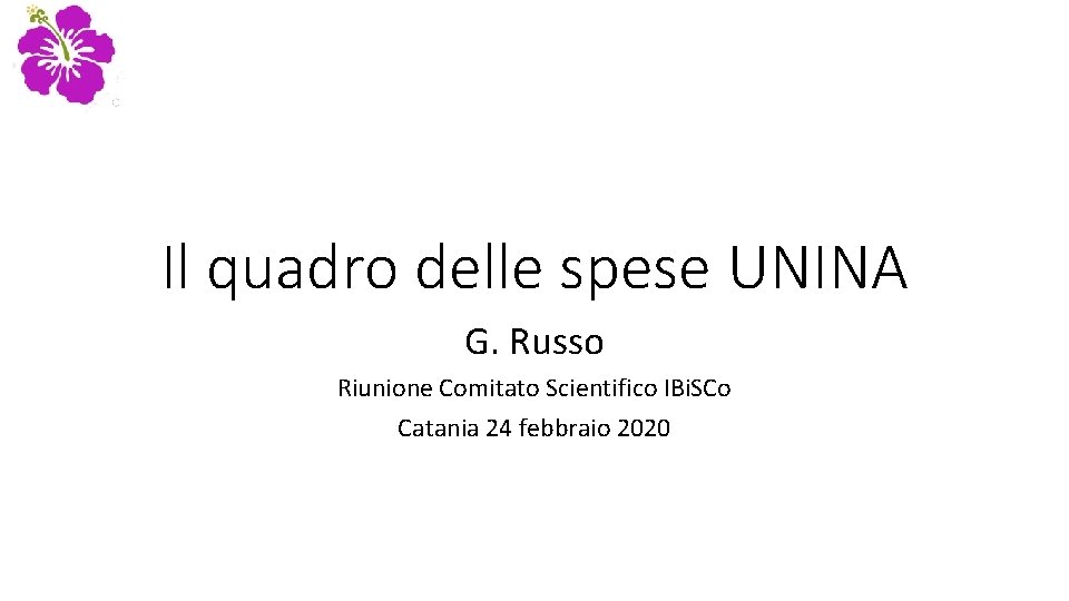 Il quadro delle spese UNINA G. Russo Riunione Comitato Scientifico IBi. SCo Catania 24