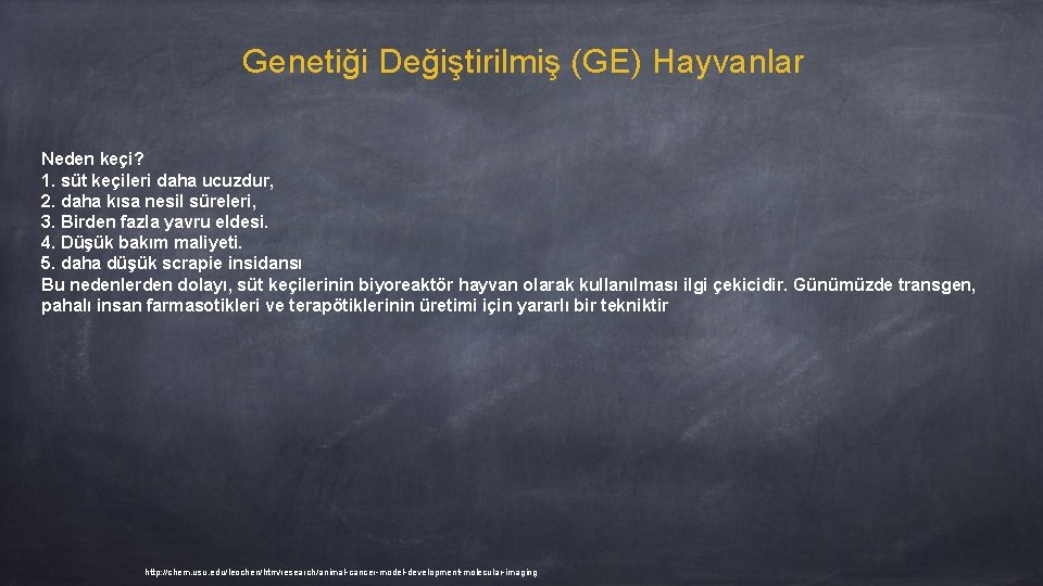 Genetiği Değiştirilmiş (GE) Hayvanlar Neden keçi? 1. süt keçileri daha ucuzdur, 2. daha kısa